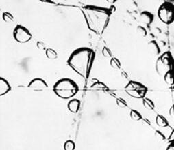 5e3eaf8462314.jpg 04.jpg